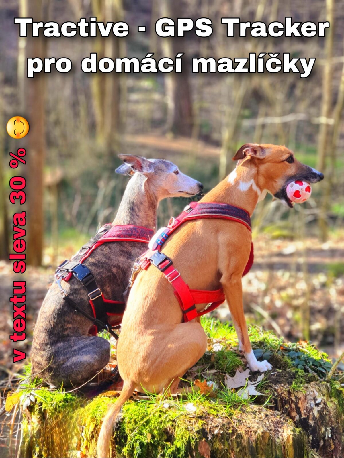 Pro šťastné návraty domů – GPS tracker Tractive – upevnění na postroj – kód na slevu v komentáři